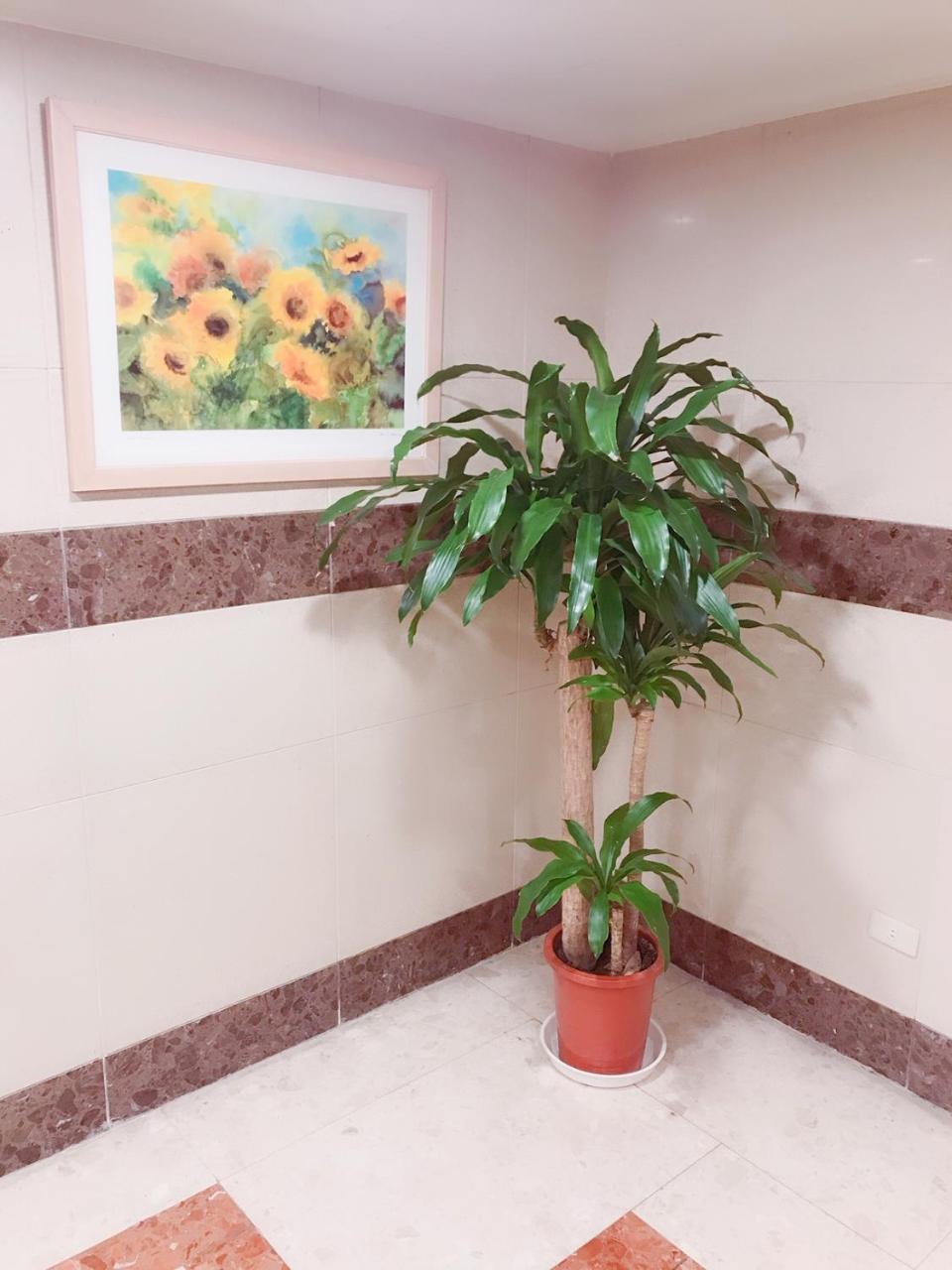 เดอะ คูส์ โฮเต็ล Hotel ซินเตี้ยน ภายนอก รูปภาพ